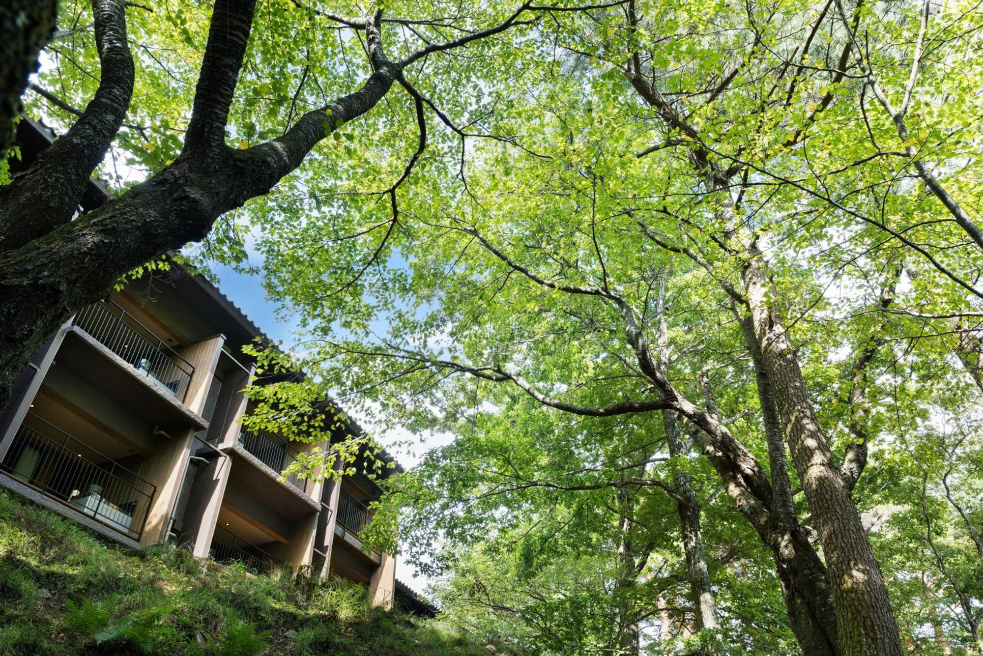 Laforet Shuzenji Sanshisuimei Izu  Exteriör bild